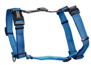 Blue-9 Balance Leash
