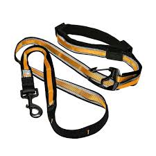 Kurgo Quantum Leash